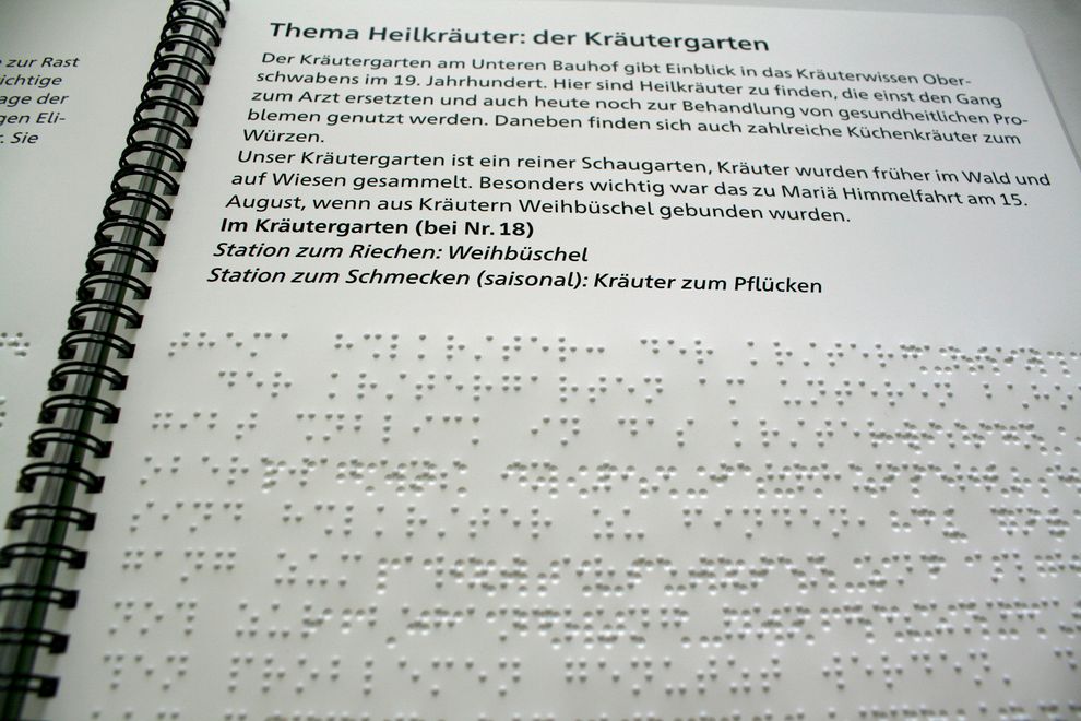 Detailauszug aus Broschüre Text in Brailleschrift und Großdruck (Heilkräuter)